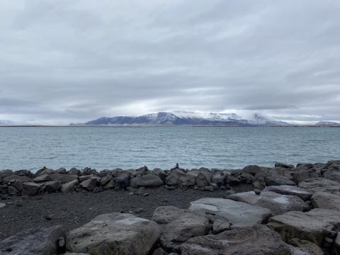 img_1559.jpg